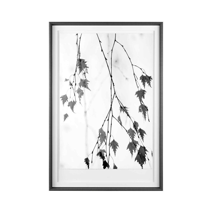 HANGING WILLOW FRAMED ART COLLECTION