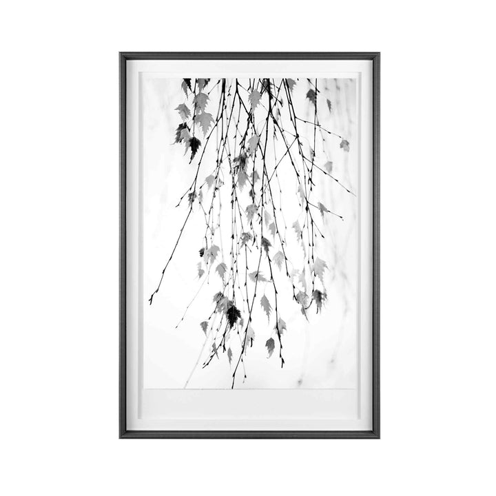 HANGING WILLOW FRAMED ART COLLECTION