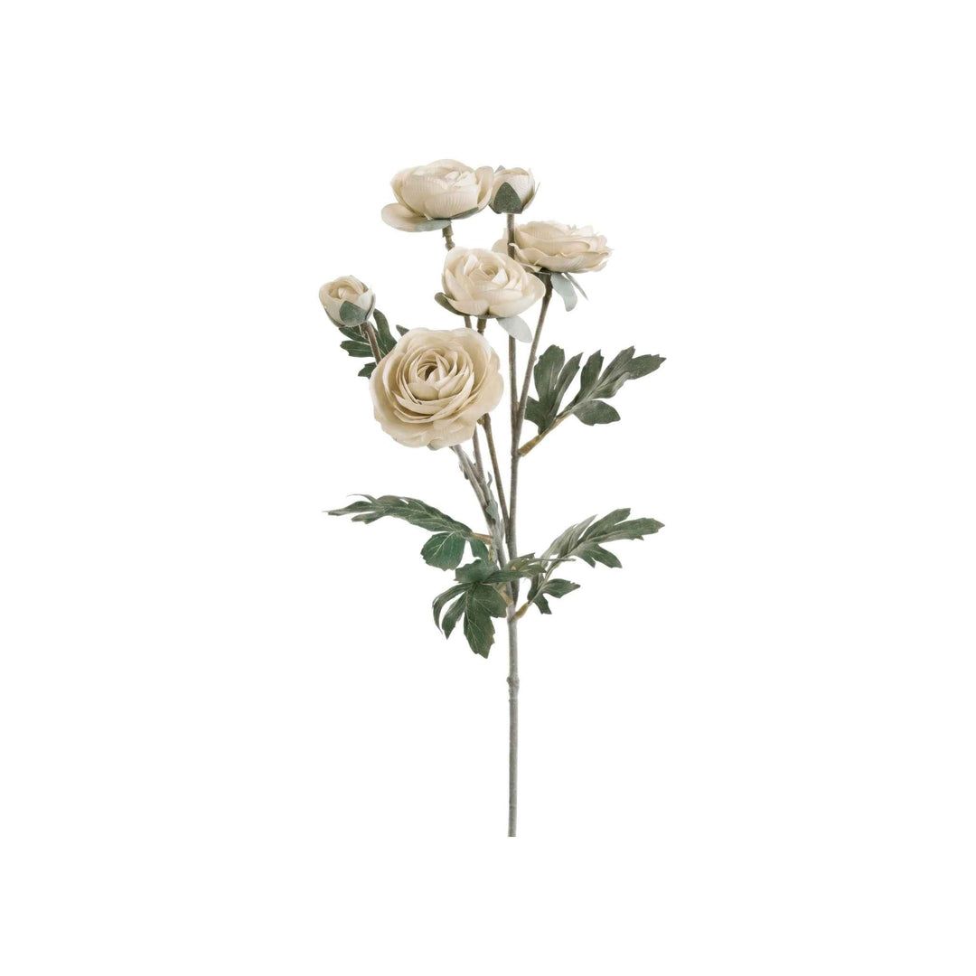 RANUNCULUS SPRAY