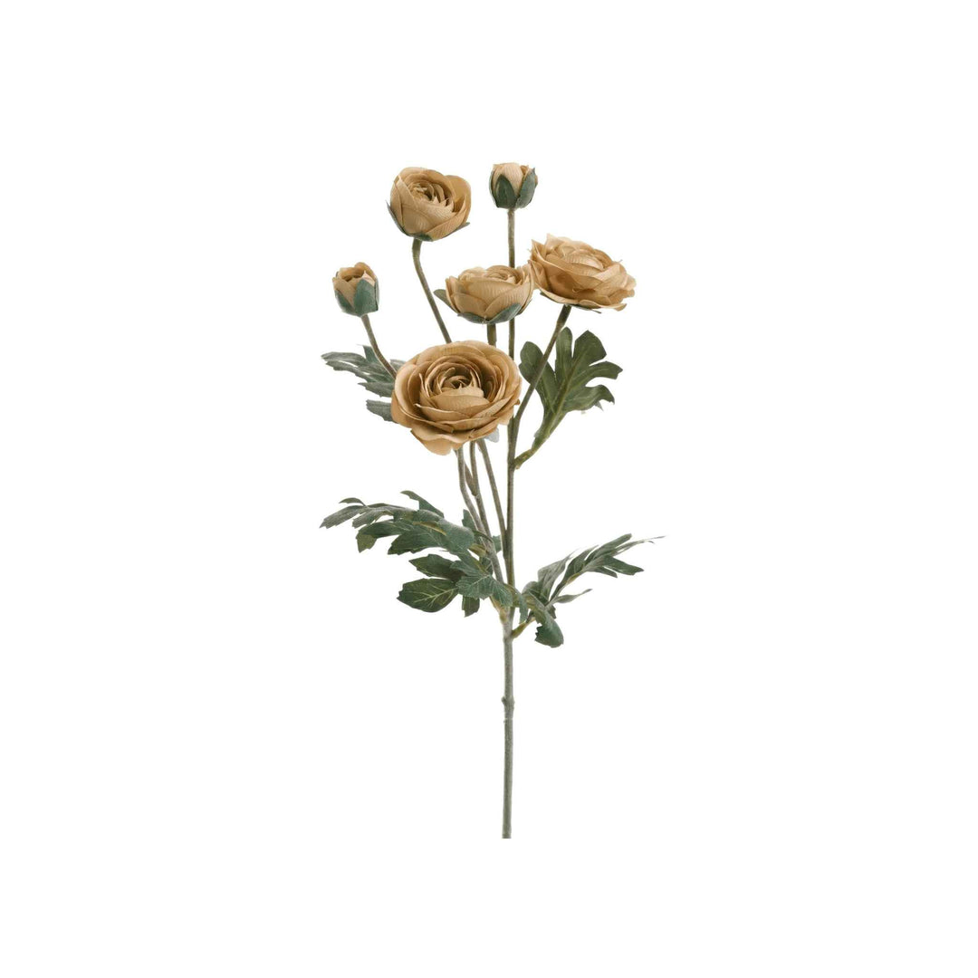RANUNCULUS SPRAY