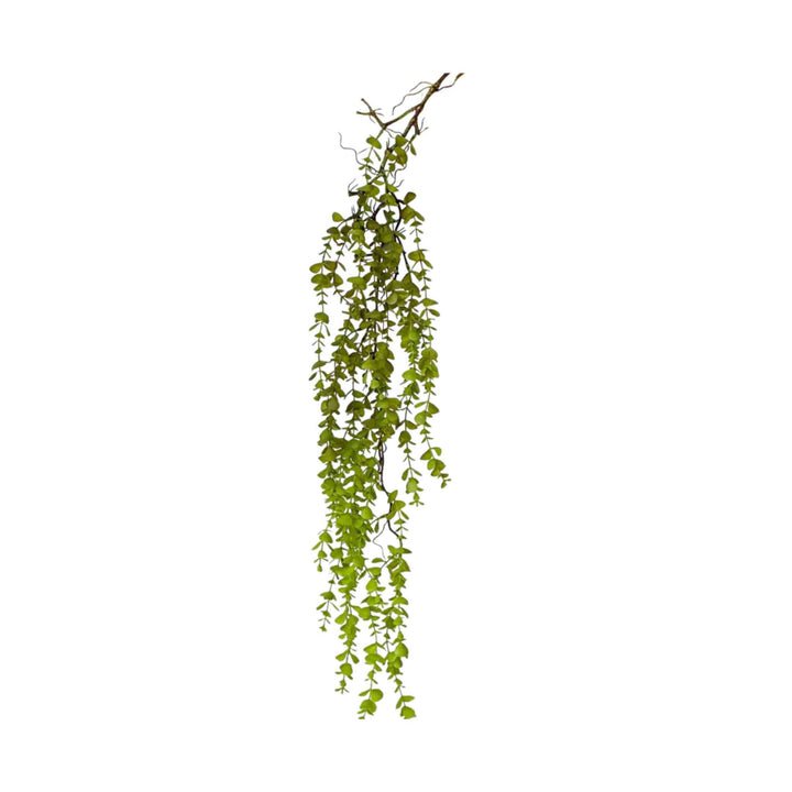 PETITE FOLIAGE WEEPING FERN SPRIG