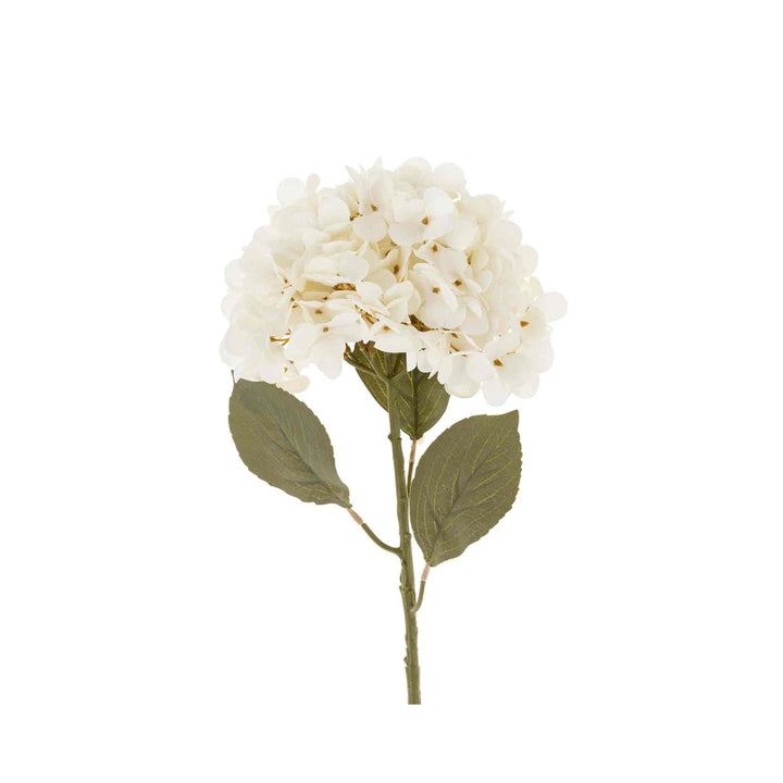 HYDRANGEA FLORA STEM, WHITE