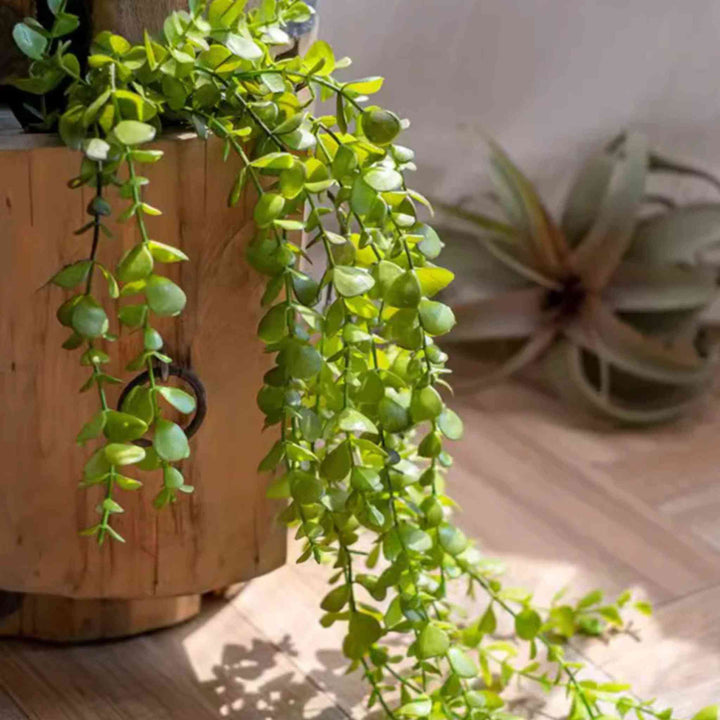 PETITE FOLIAGE WEEPING FERN SPRIG
