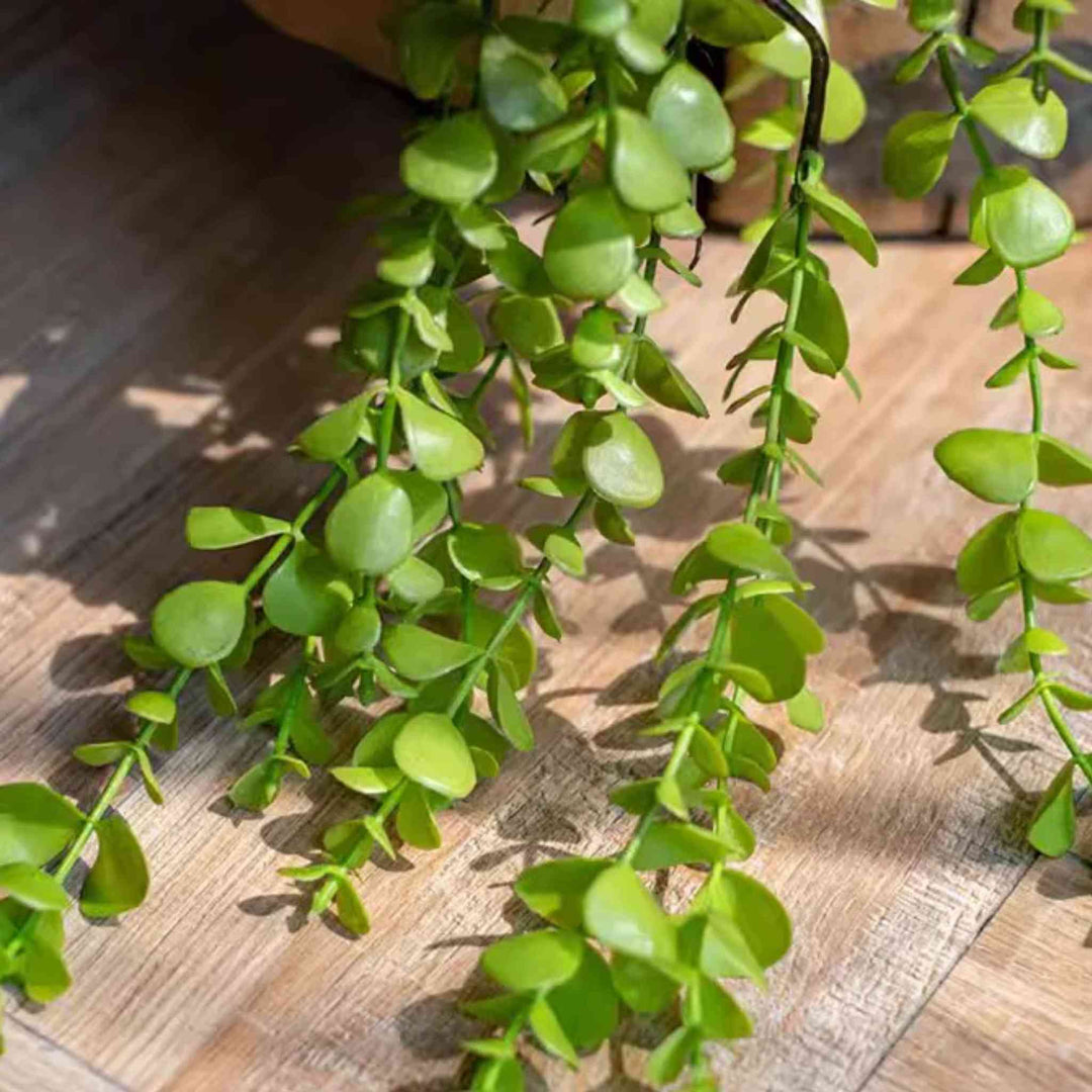 PETITE FOLIAGE WEEPING FERN SPRIG