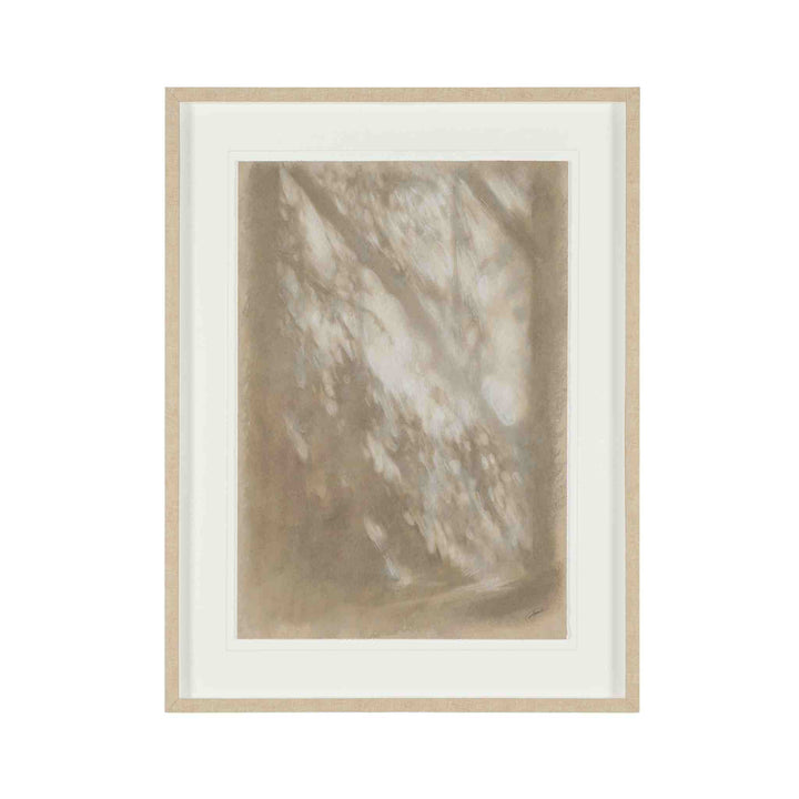 PASSING SHADOWS I, FRAMED ART