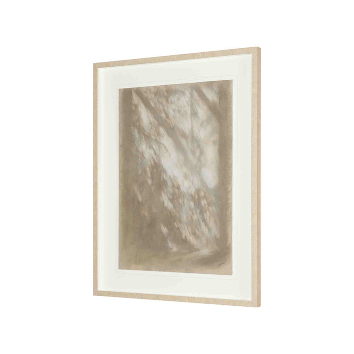 PASSING SHADOWS I, FRAMED ART