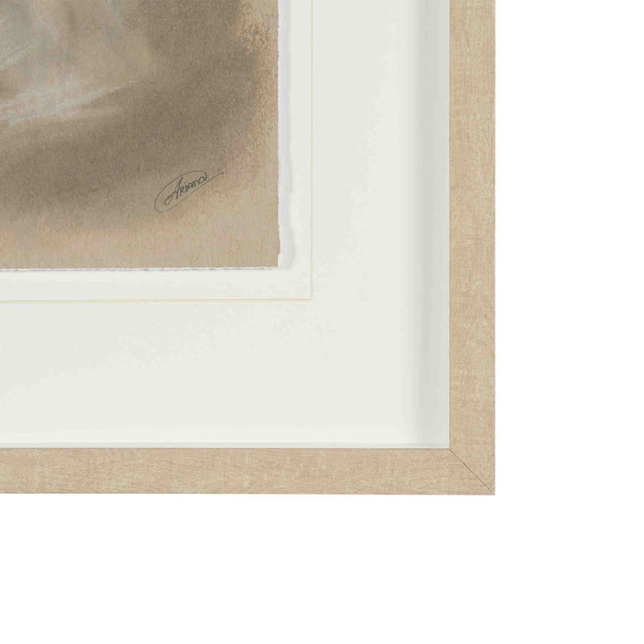 PASSING SHADOWS I, FRAMED ART