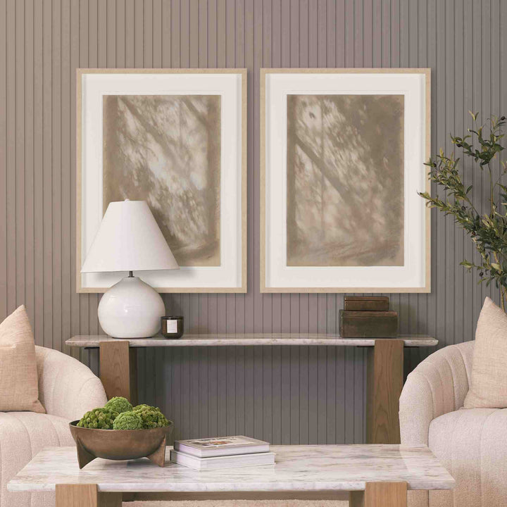 PASSING SHADOWS I, FRAMED ART