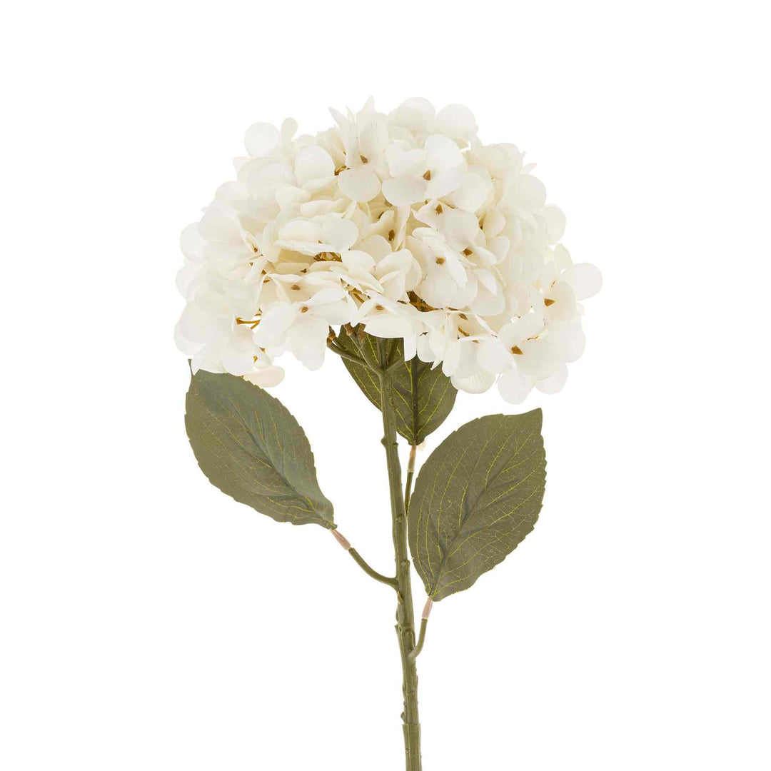 HYDRANGEA FLORA STEM, WHITE