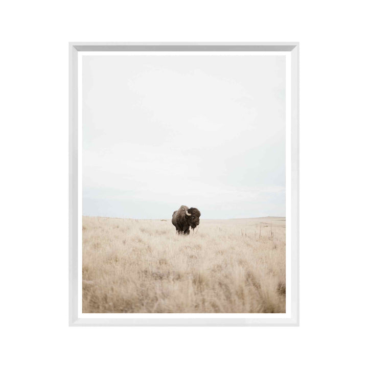 GREAT PLAINS DENIZEN, FRAMED ART