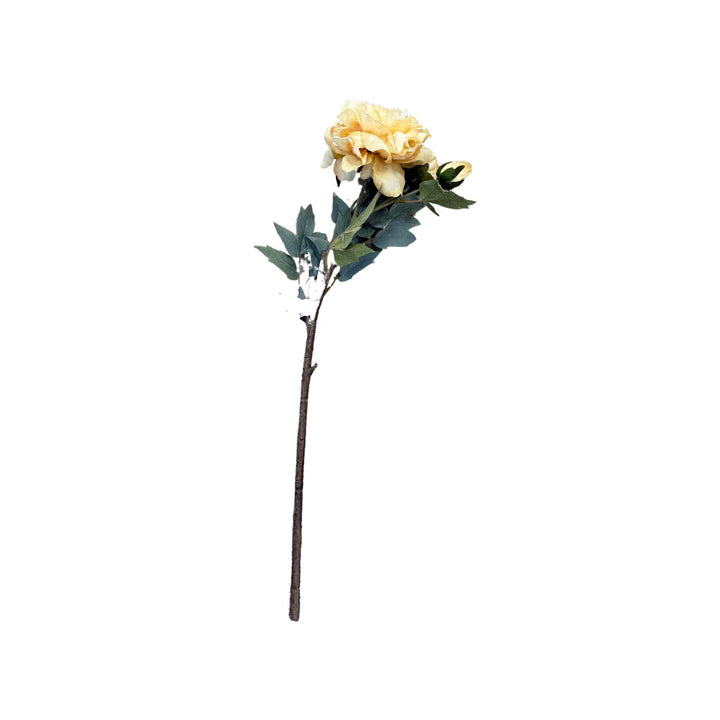 PEONY FLORAL STEM, BUTTER