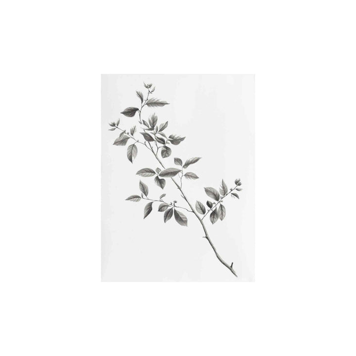 BRANCH ART PRINT