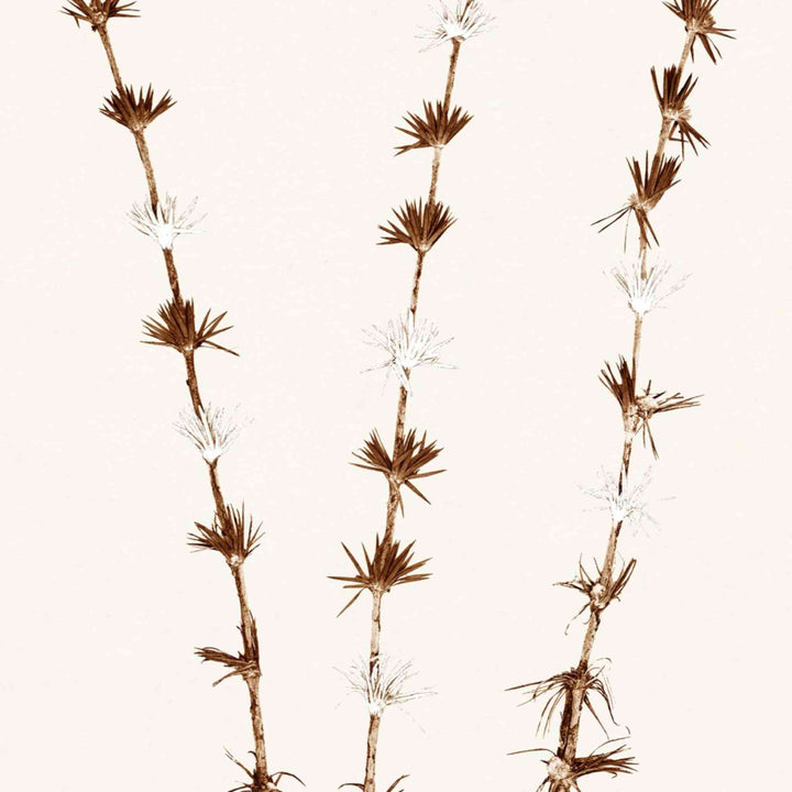 BOTANICAL IN UMBER, FRAMED ART