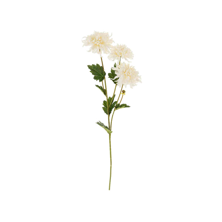 CHRYSANTHEMUM SPRAY, WHITE