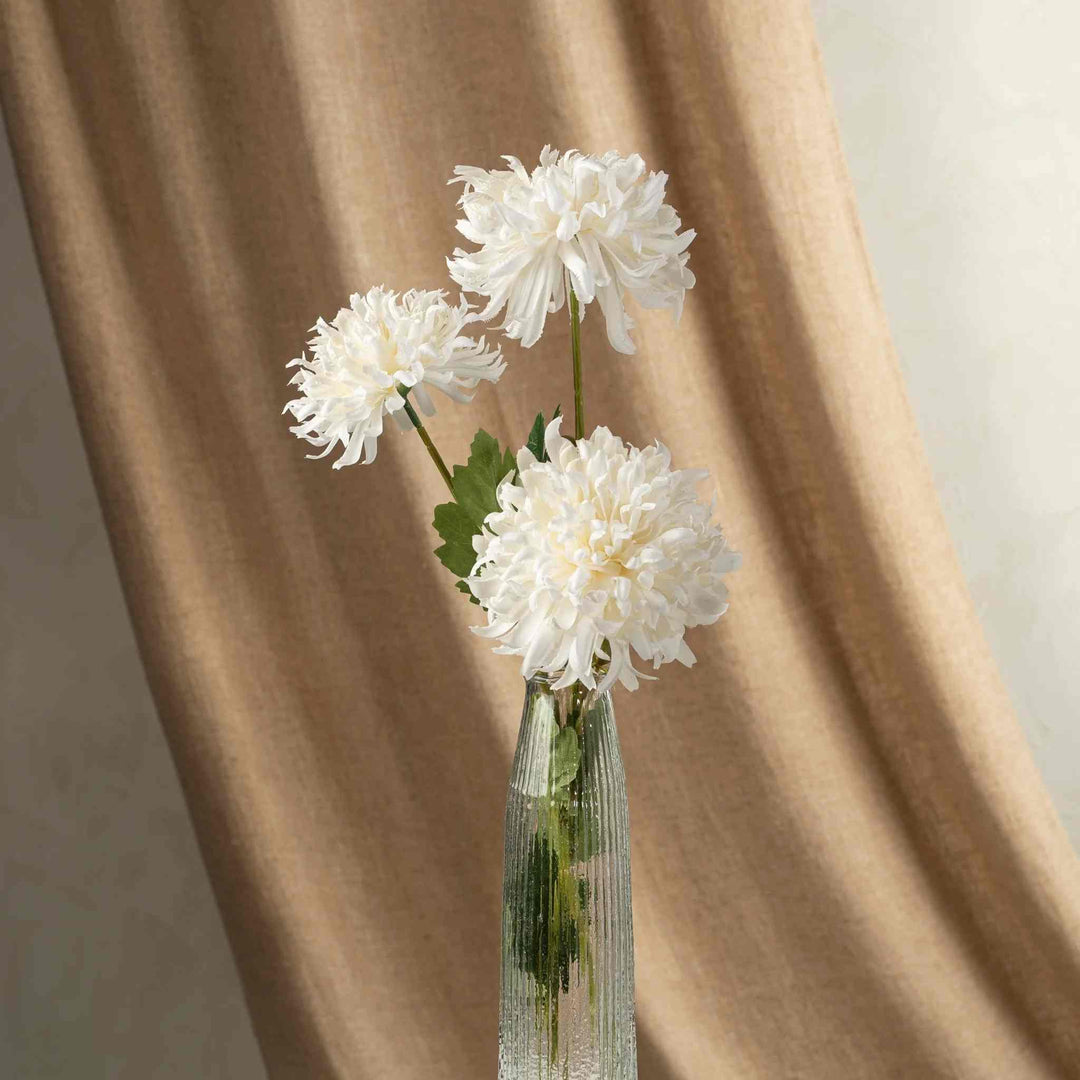 CHRYSANTHEMUM SPRAY, WHITE