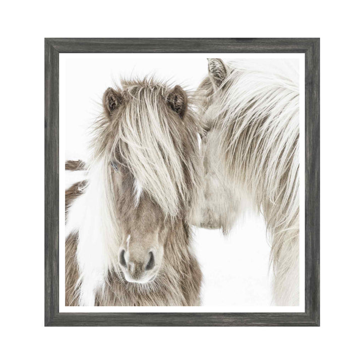 ICELANDIC PONIES FRAMED ART