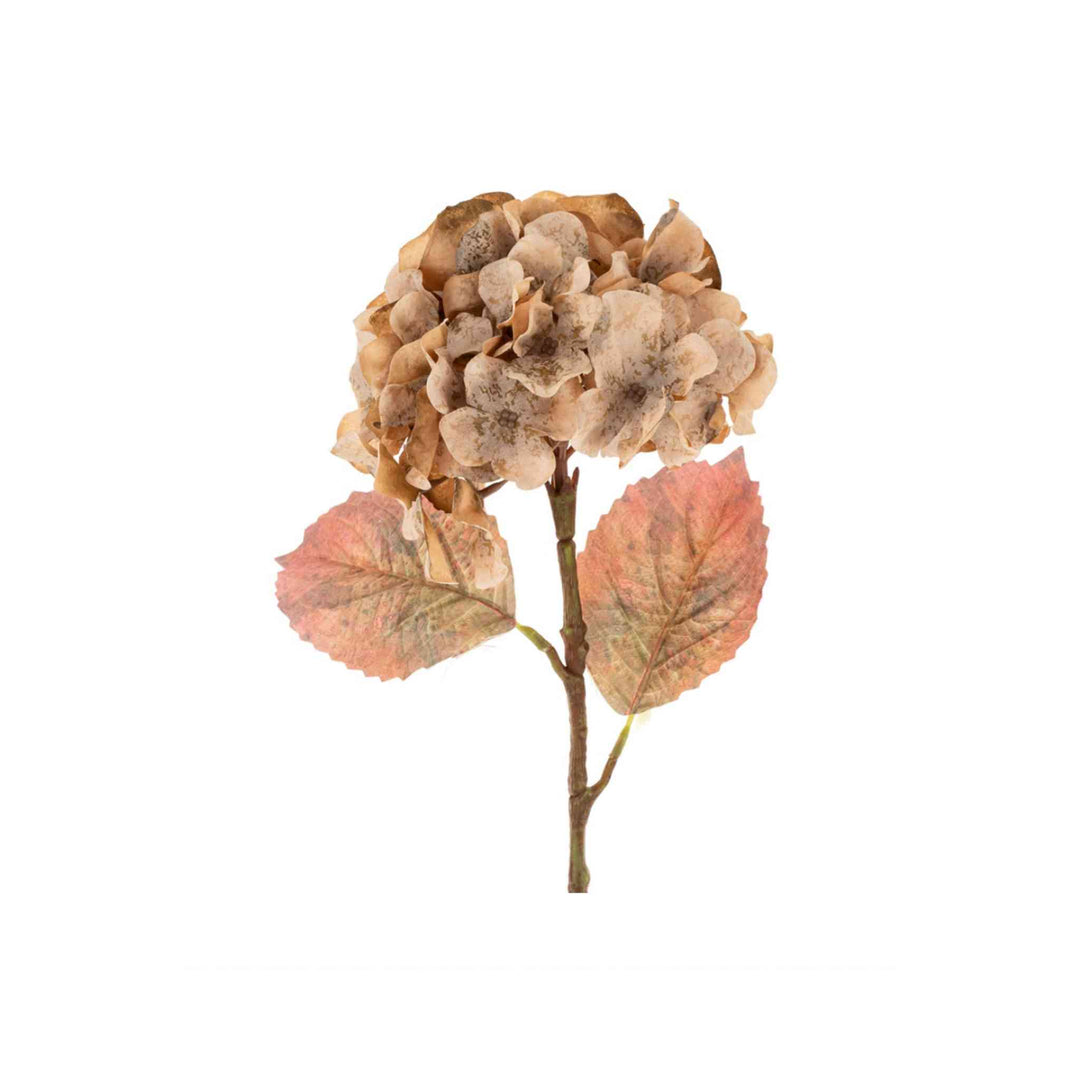 FADED HYDRANGEA STEM, GREEN