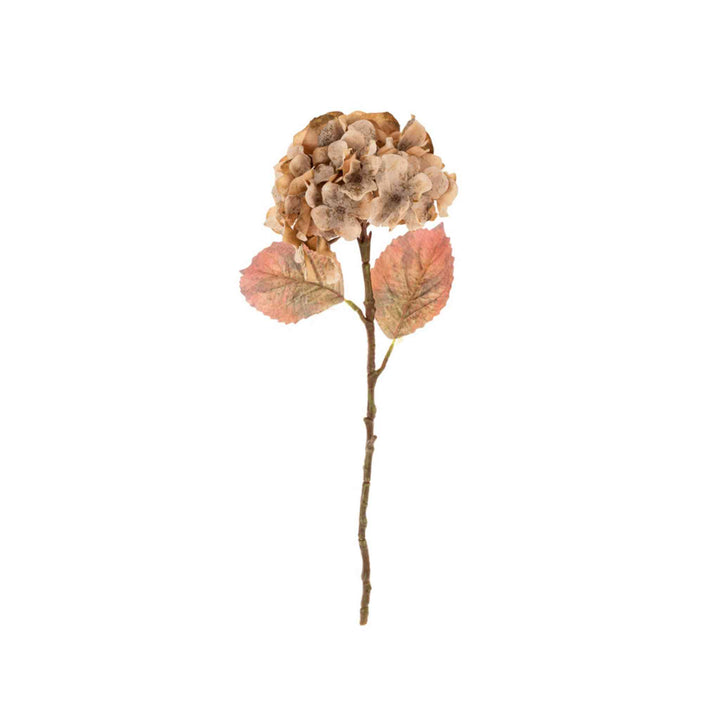 FADED HYDRANGEA STEM, GREEN