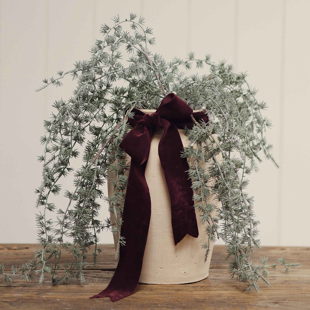 FROSTED JUNIPER SPRIG
