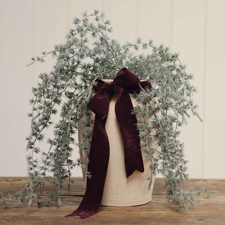 FROSTED JUNIPER SPRIG