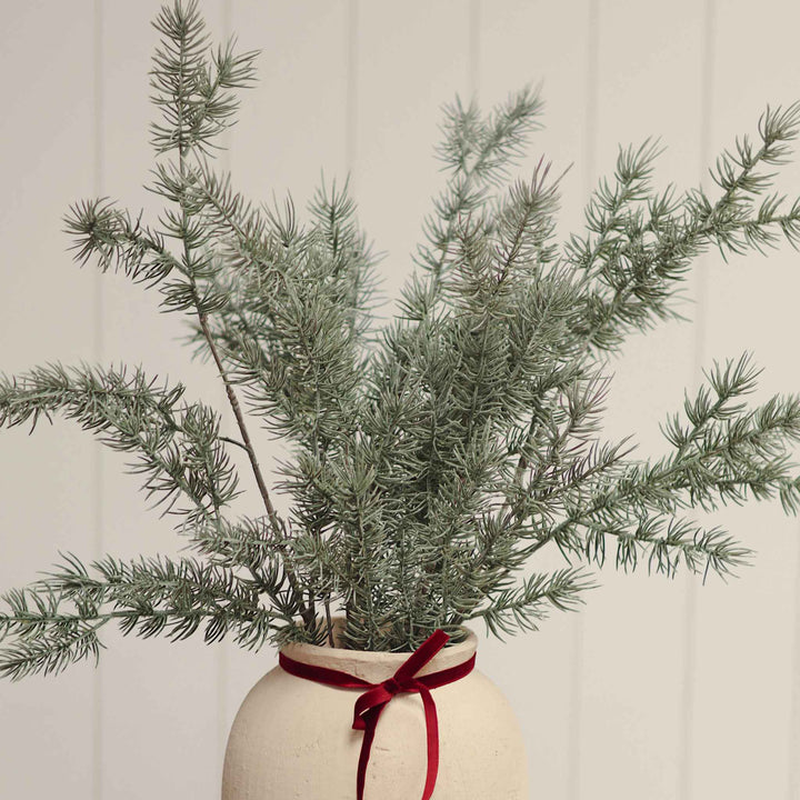 CYPRESS SPRIG