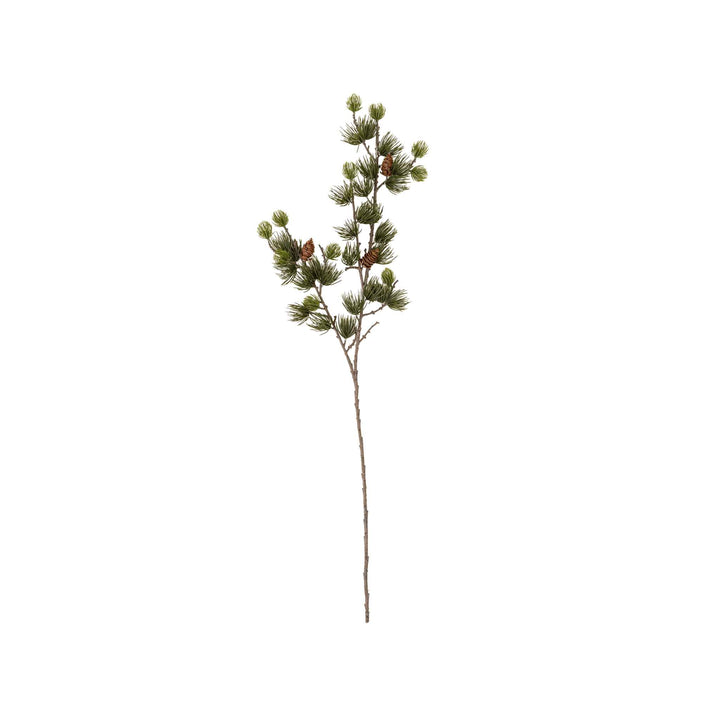 ALPINE LARCH SPRIG