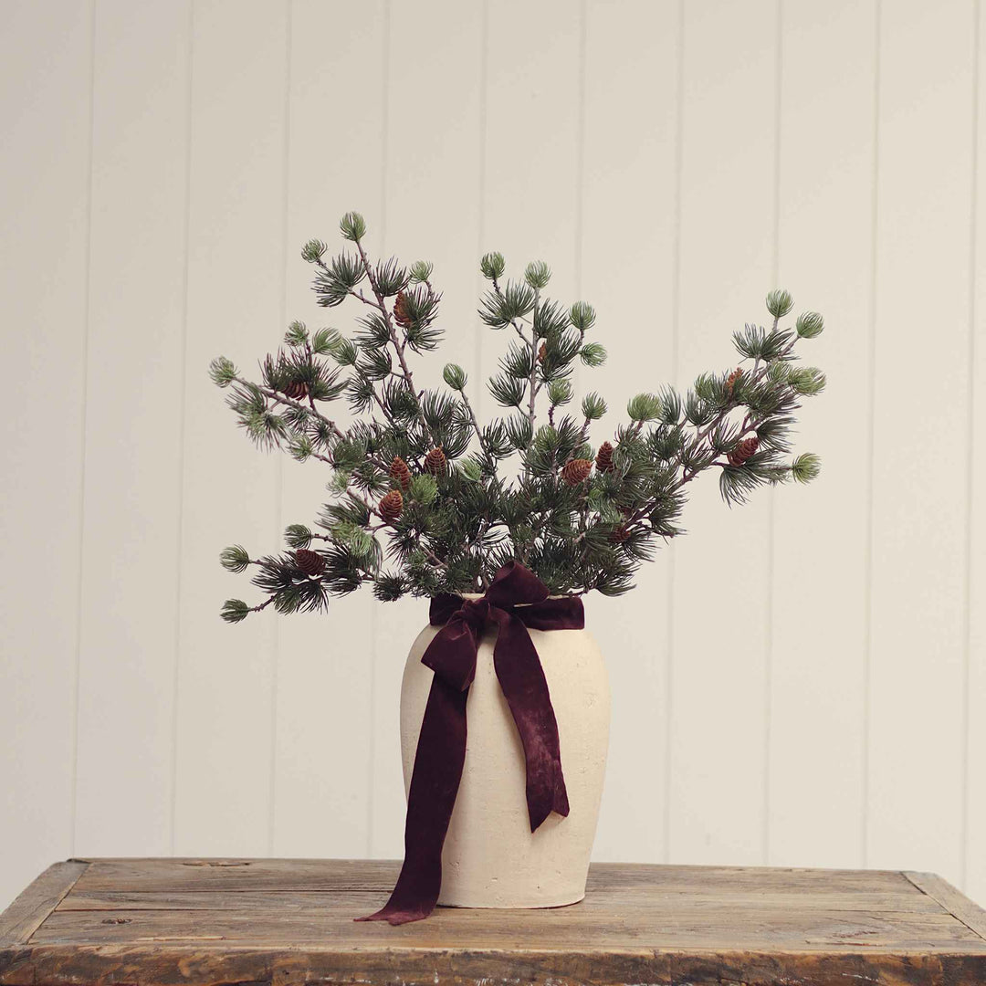 ALPINE LARCH SPRIG