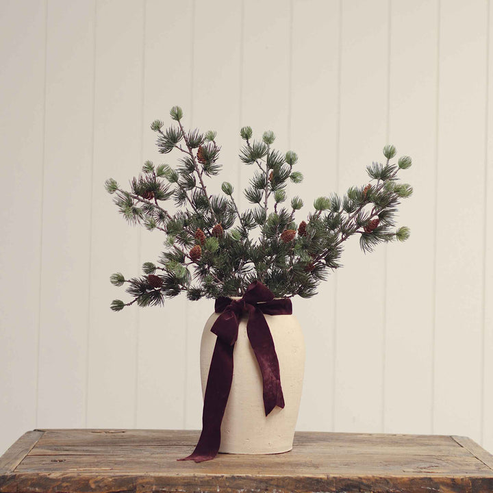 ALPINE LARCH SPRIG