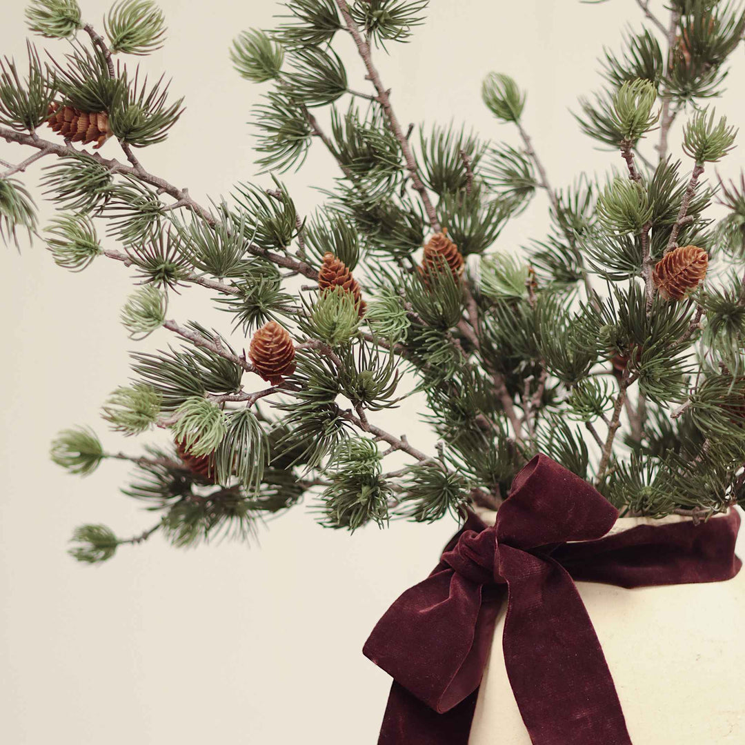 ALPINE LARCH SPRIG