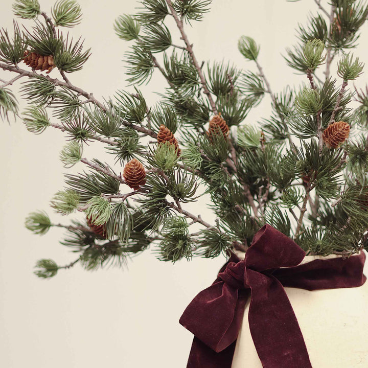 ALPINE LARCH SPRIG