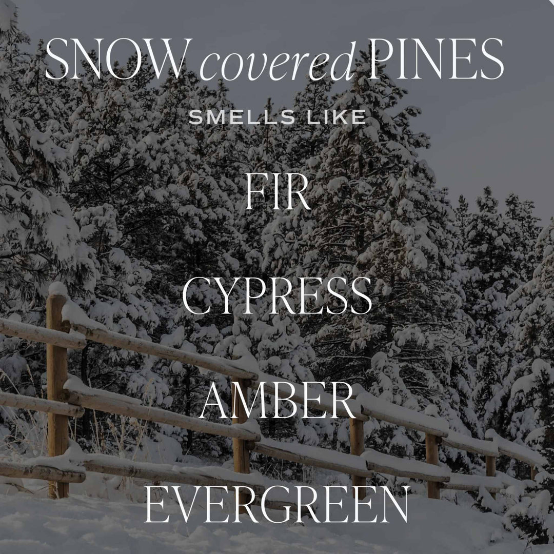 SNOW COVERED PINES, SOY CANDLE, 15OZ