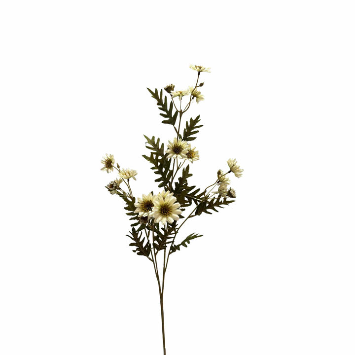 CHRYSANTHEMUM STEM, WHITE