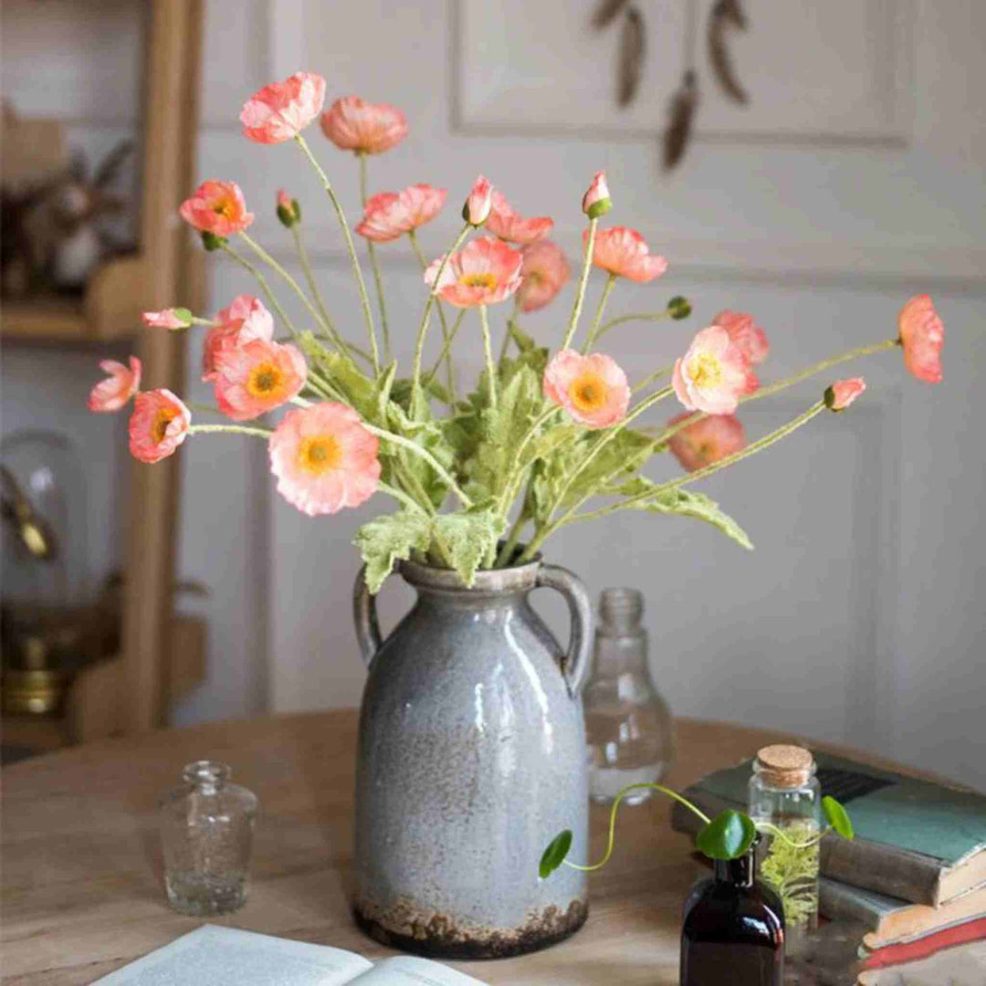 COMMON POPPY STEM