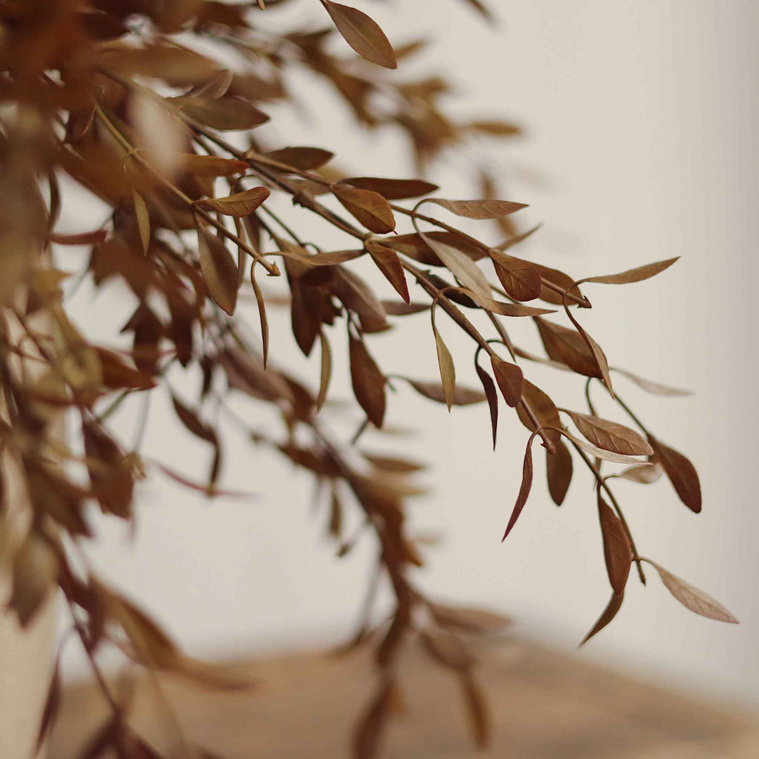 WILLOW LEAF SPRAY, HARVEST