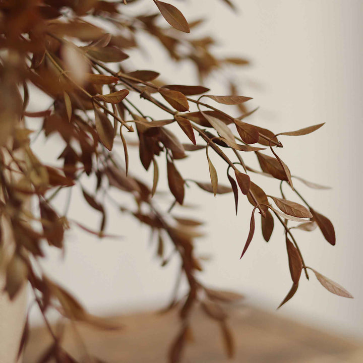 WILLOW LEAF SPRAY, HARVEST