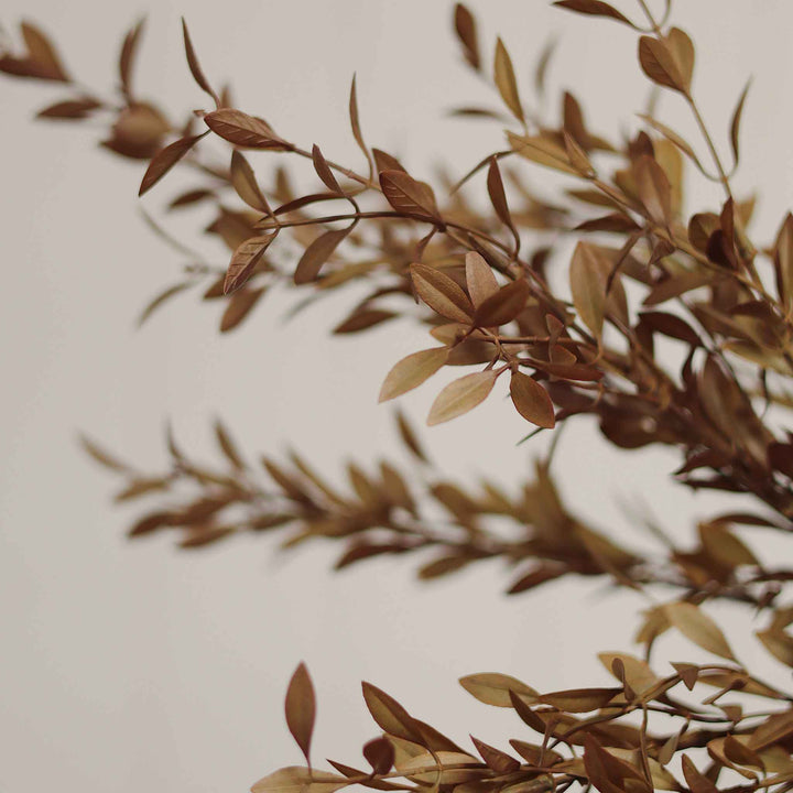 WILLOW LEAF SPRAY, HARVEST