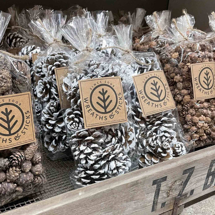 FROSTED PINE CONES, WHITE