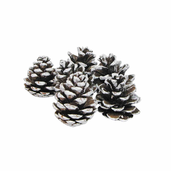 FROSTED PINE CONES, WHITE
