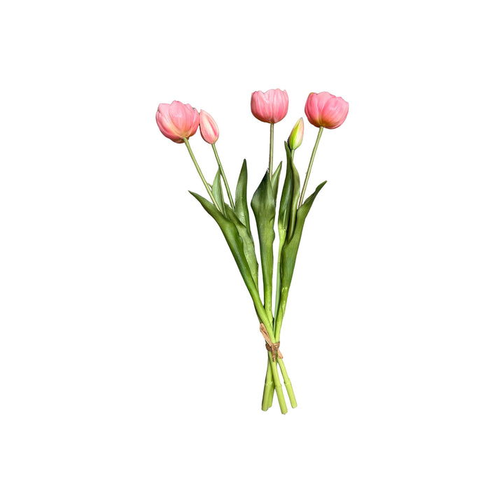 VERITY PEONY TULIP BUNDLES, 18"