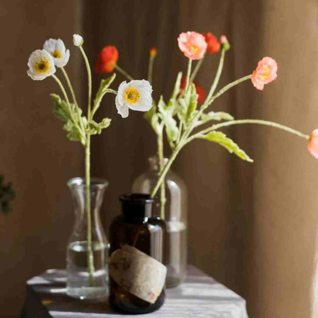 COMMON POPPY STEM
