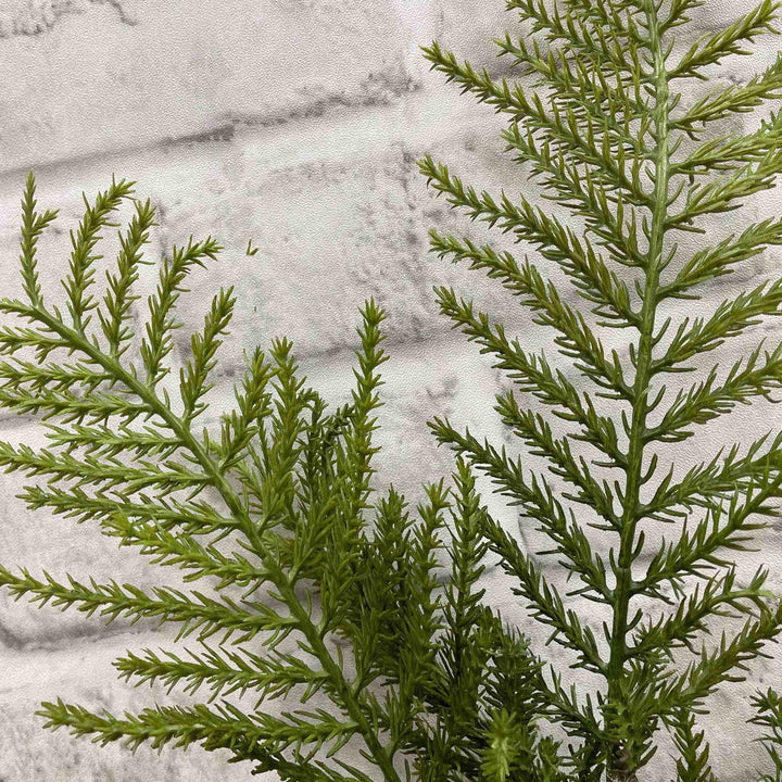 REAL FEEL CYPRESS SPRAY