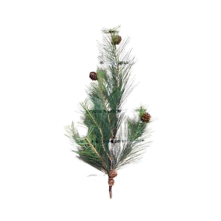 LONG NEEDLE PINE SPRAY