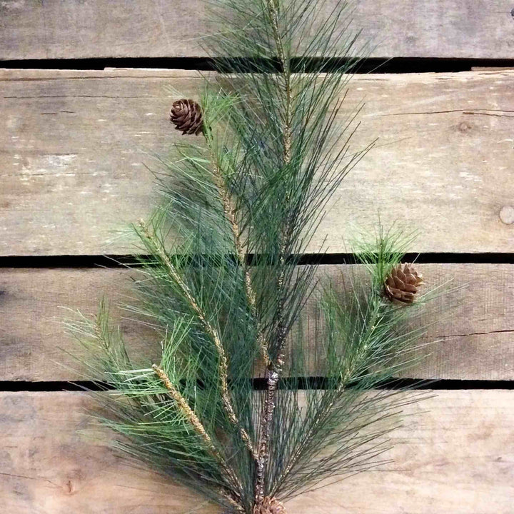 LONG NEEDLE PINE SPRAY