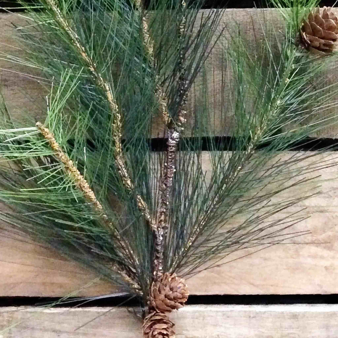 LONG NEEDLE PINE SPRAY