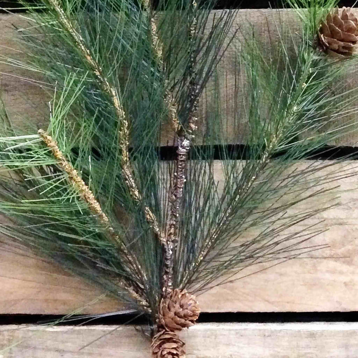 LONG NEEDLE PINE SPRAY