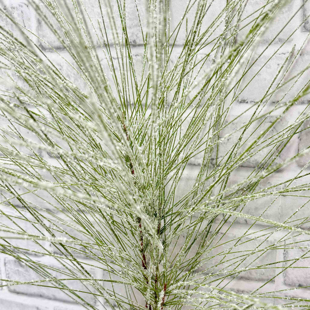 SNOWY LONG NEEDLE PINE SPRAY