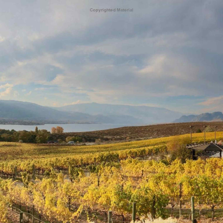 BC WINE LOVERS COOKBOOK