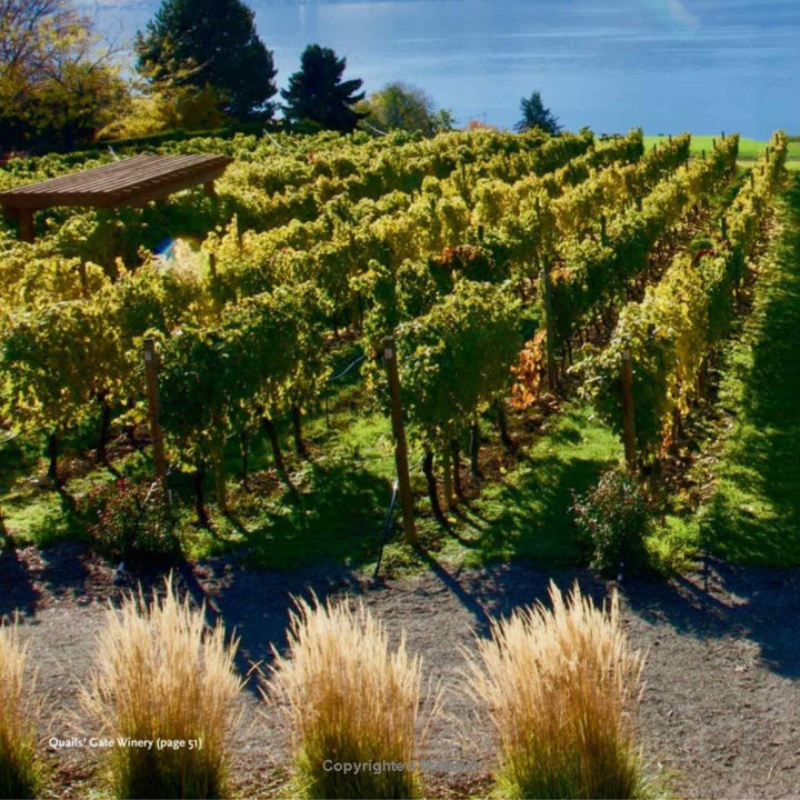 BC WINE LOVERS COOKBOOK