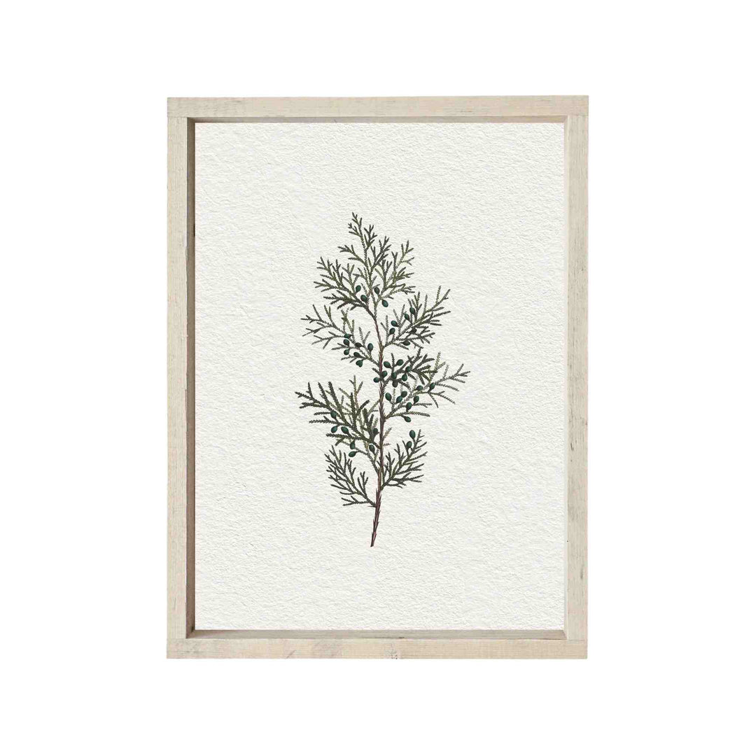 VINTAGE CONIFEROUS PRINT