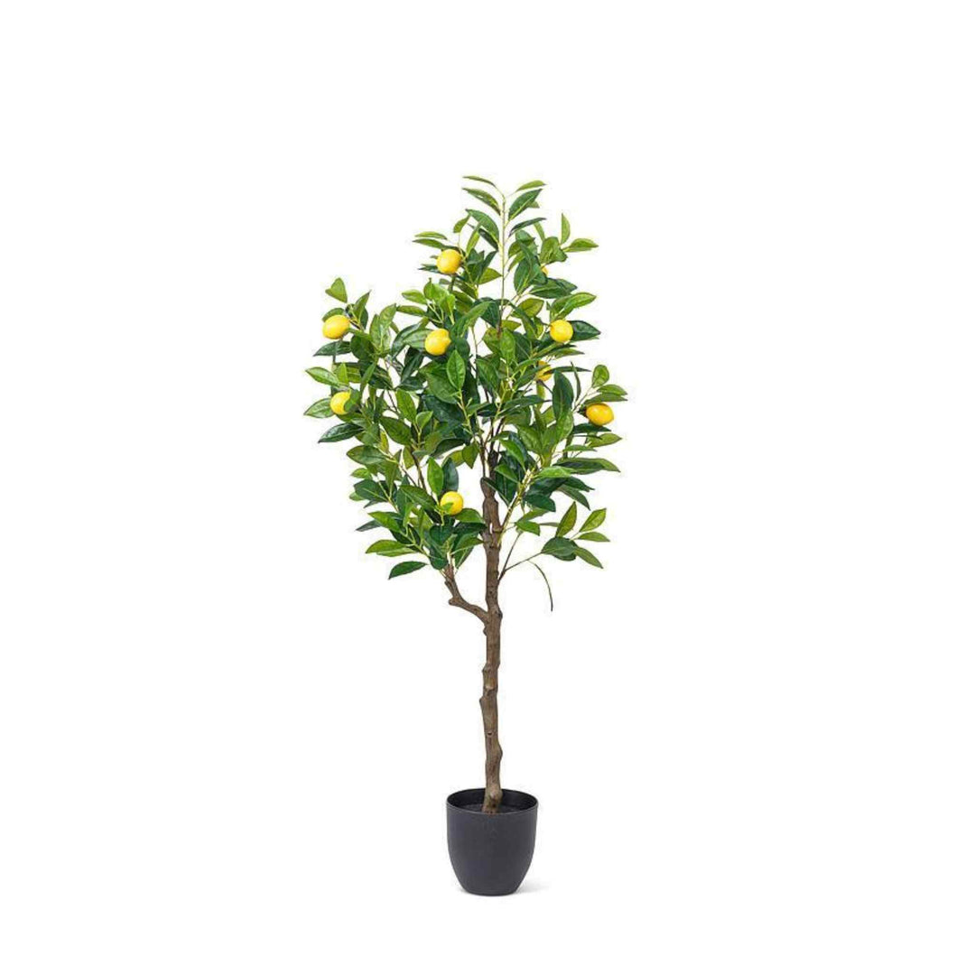 FAUX LEMON TREE COLLECTION